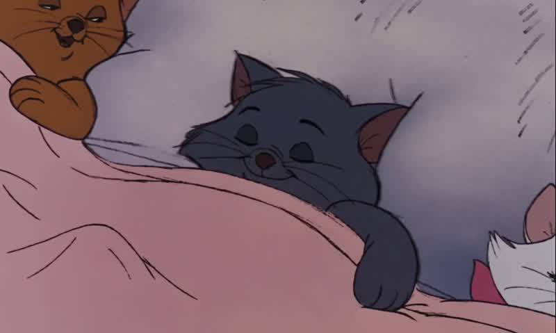Everybody wants to be a cat Because a cat's the only cat Who knows where it's at Oh, yeah Happy dreams, my loves
