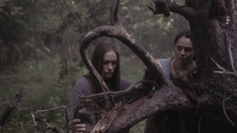 I feel stupid. It's a dead tree