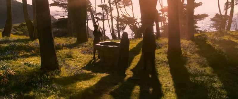 I figured if there was anyone