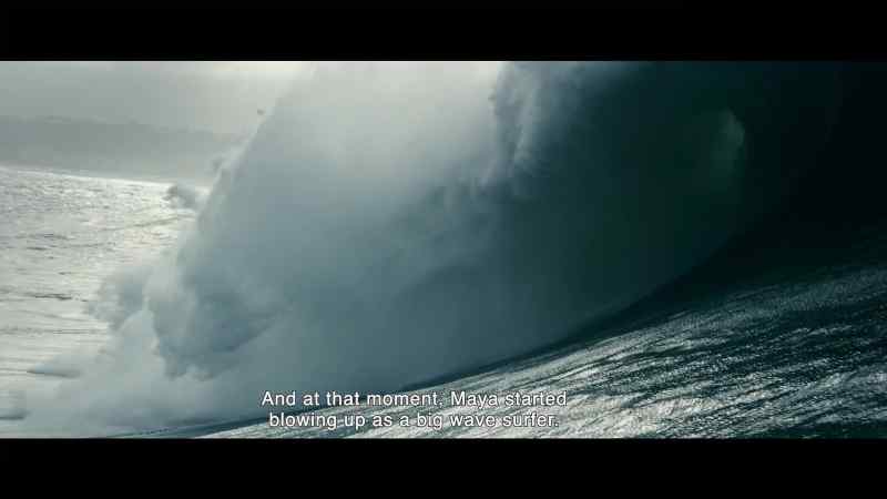 Flying from the giant wave from trough to crest