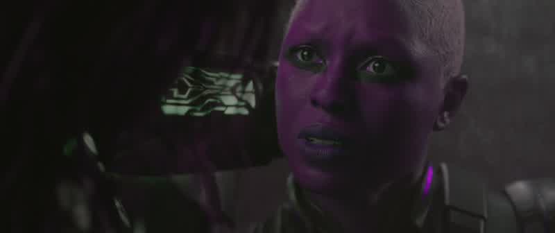 I followed my directive