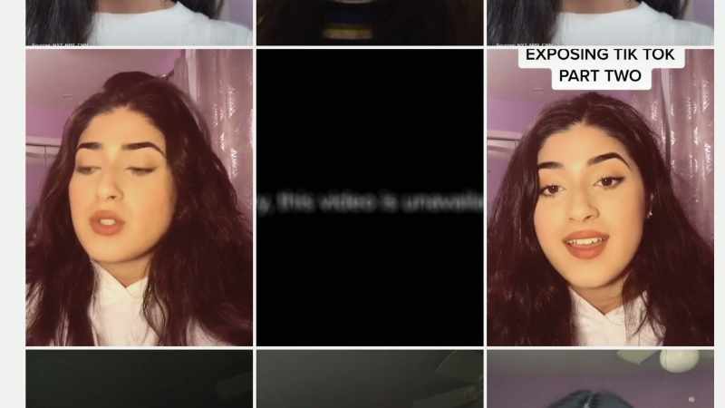 I found out how TikTok's basically using our data