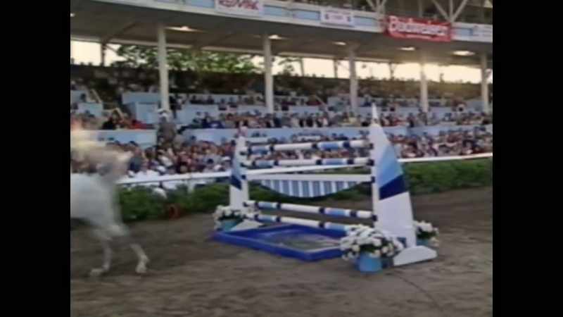 I was getting accepted for doing dirty deeds around the horse shows
