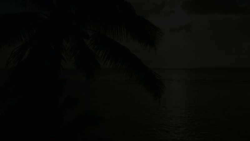 # I give you bright light, give you bright light. #
