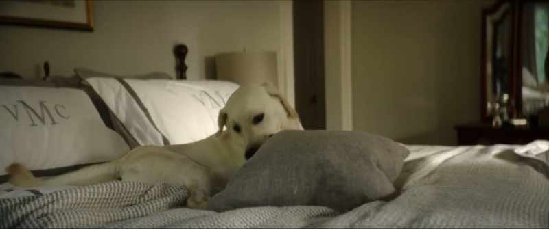 I give up. -♪ If you fall, I'll pick you up ♪