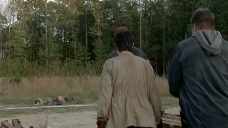 Glenn: Nicholas, stop! ( walkers snarling )