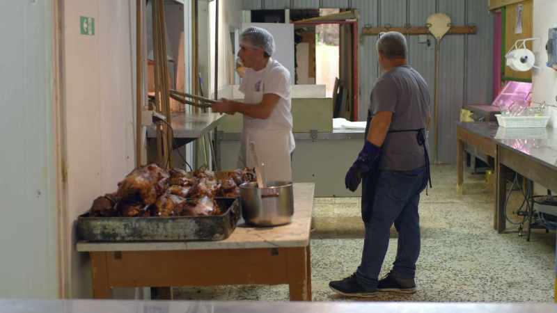 I go out back and discover wood-fired ovens