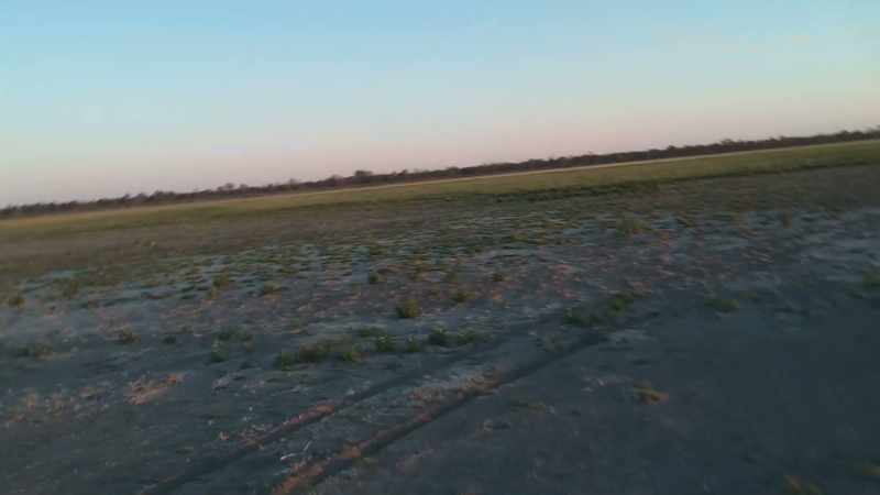 I was going to say, what is it? What grass is it?