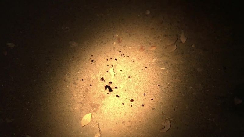 I got a stain on the floor in here