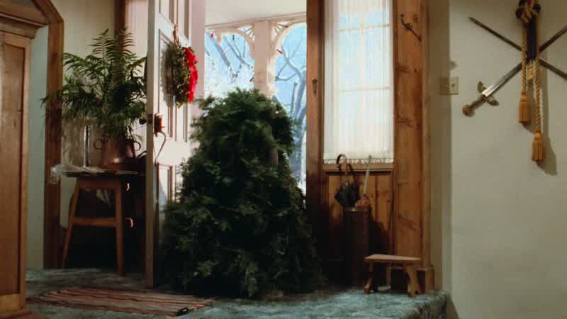 I got a tree!