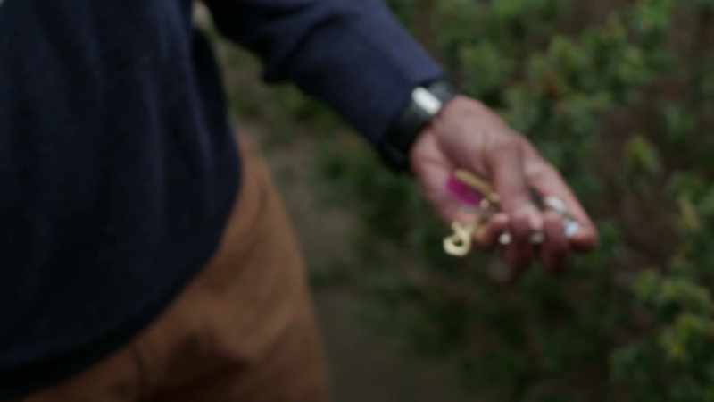 I got her car keys here.