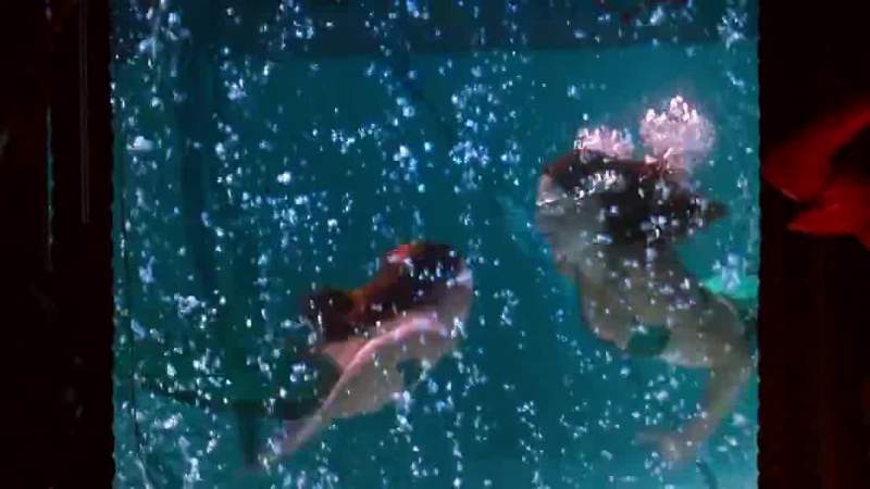 I got news for you