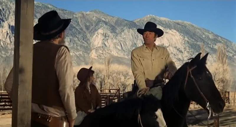 I got him out of your corral back there