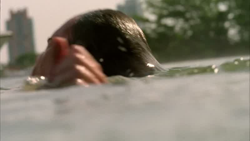 Yeah! Oh, you want to play, man? Come on! In the water! Look at them. They can laugh and play. It co