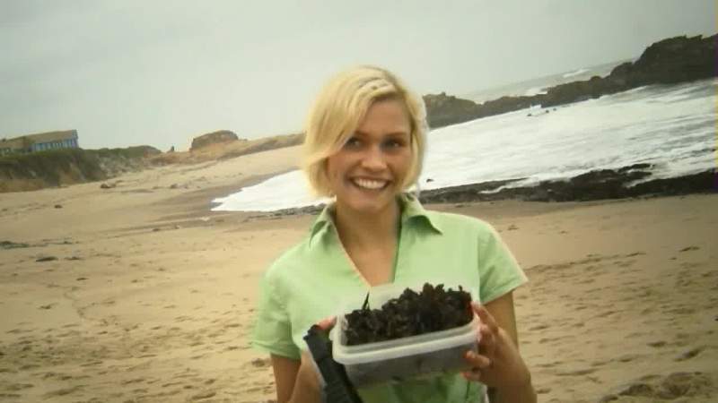 I got some seaweed