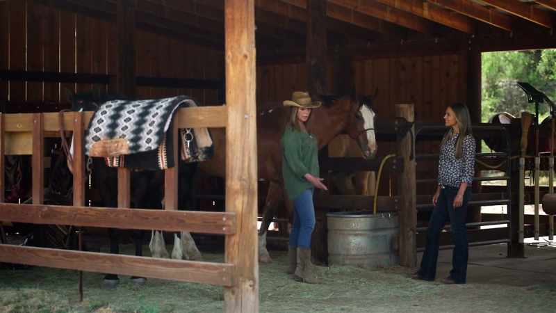 I gotta get this stall mucked, and she needs some exercise
