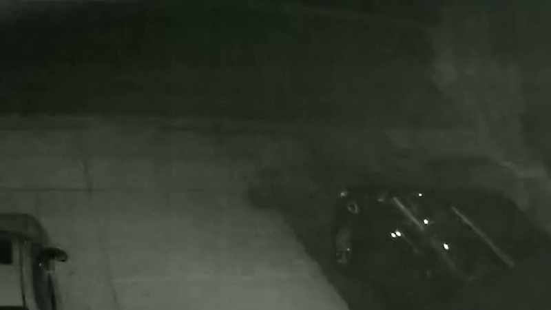 �I grabbed my flashlight, and I walked out there