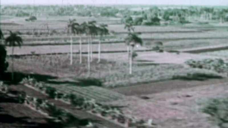 I grew up on a farm just north