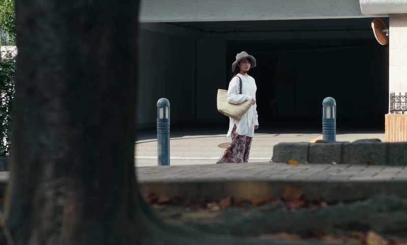 I happened to look towards the park, and there he was