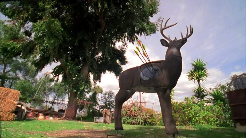 I hate fake deer too