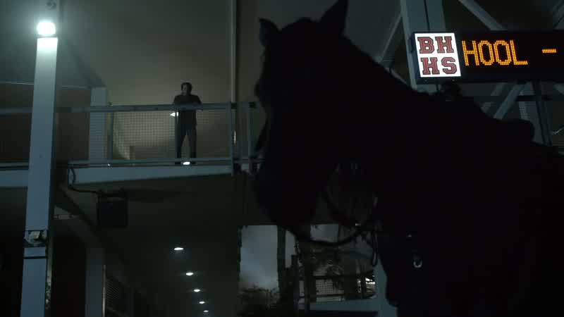 I hate horses