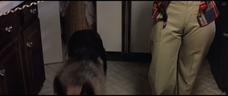 I hate that dog