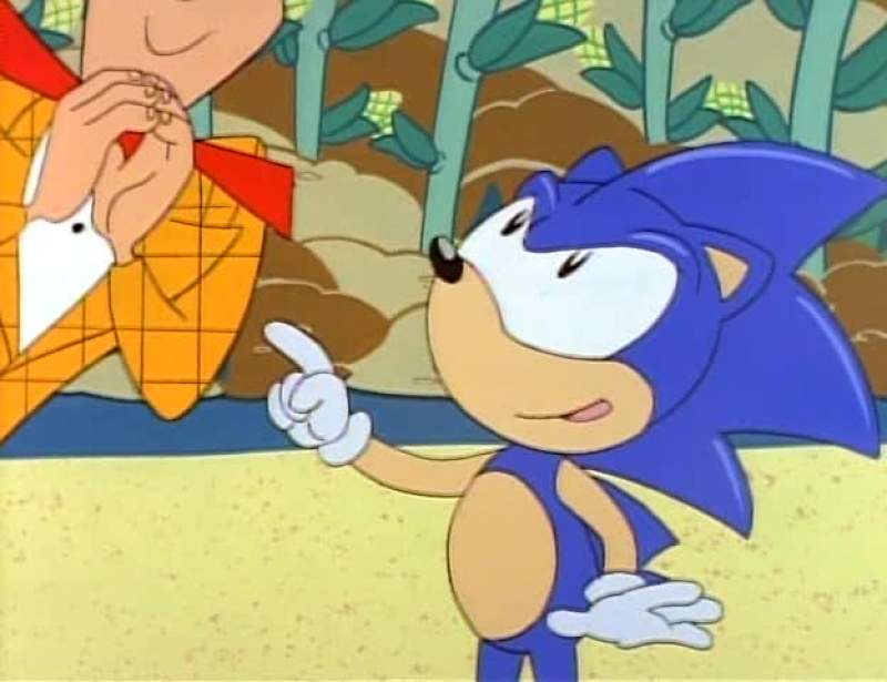 I HATE THAT HEDGEHOG