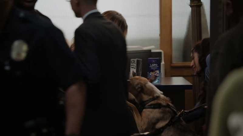 I have a package for Major Crimes. - [dog barks]