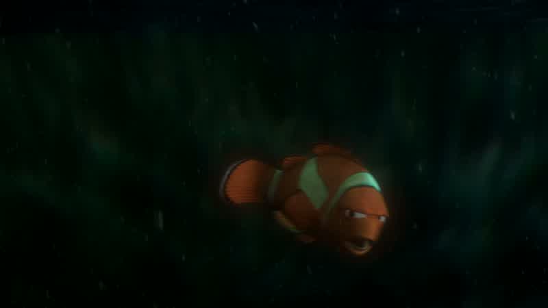 I have to get out I have to find my sonI have to tell him how old sea turtles are