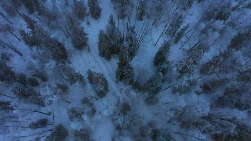 I have new trails I have to put in
