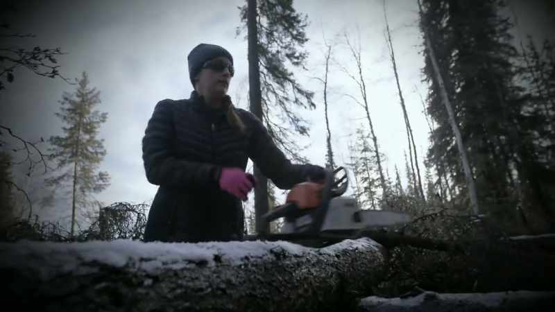 I have had some difficulties with chainsaws in my past