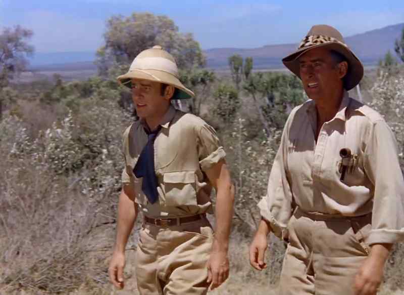 I haven't thanked you for taking on this safari