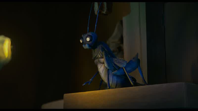 Shoo! Shoo! Shoo! Shoo! Shoo! Hey! Get away from there. Go away! Bugger off. No, no, no, no, no, no