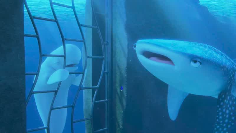 I hit my head very hard out there See how swollen it isYour head is supposed to be big You're a beluga