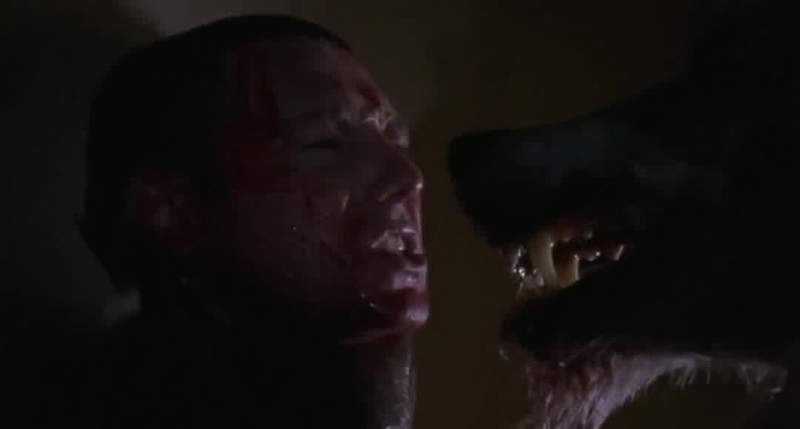 I hope I give you the shits