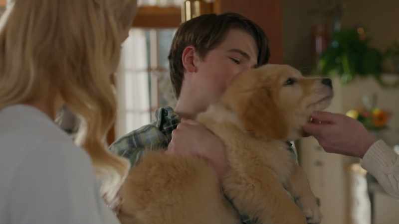 I hoped for a dog for a long time