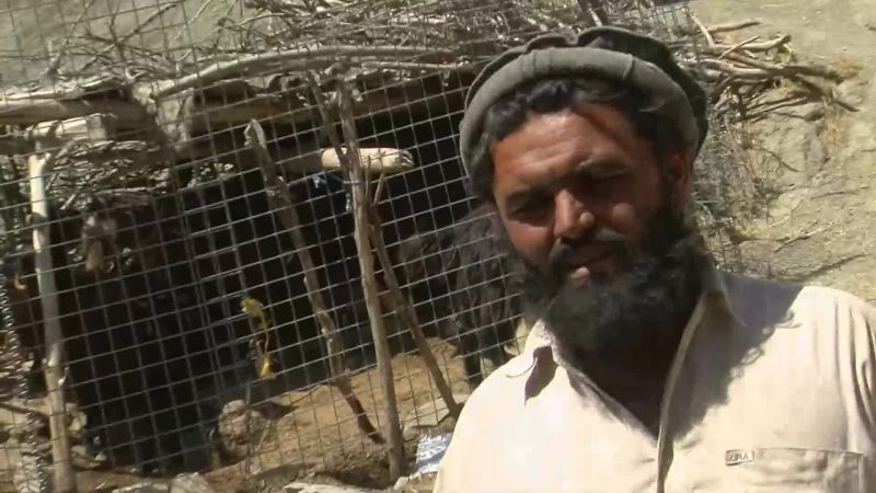 I, I don't think you're Taliban