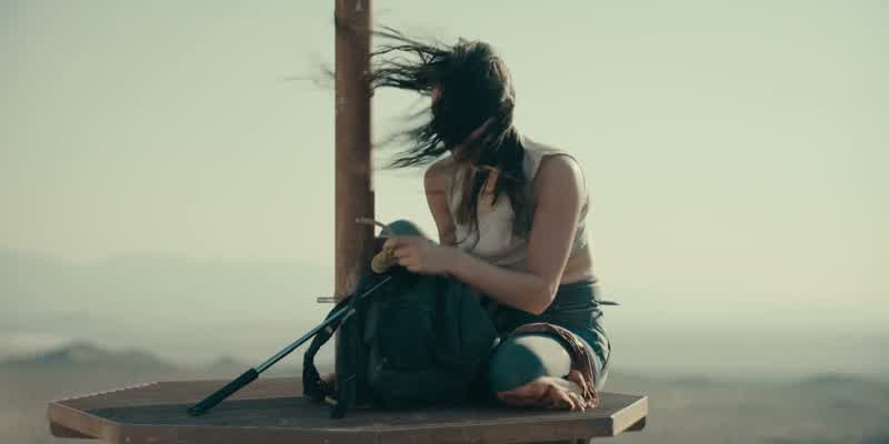 I guess you were just too afraid to realize that you were up here, all alone