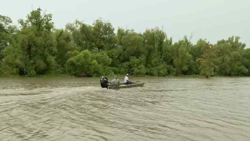 In Bayou Cache