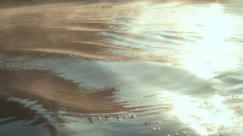 In the atchafalaya spillway