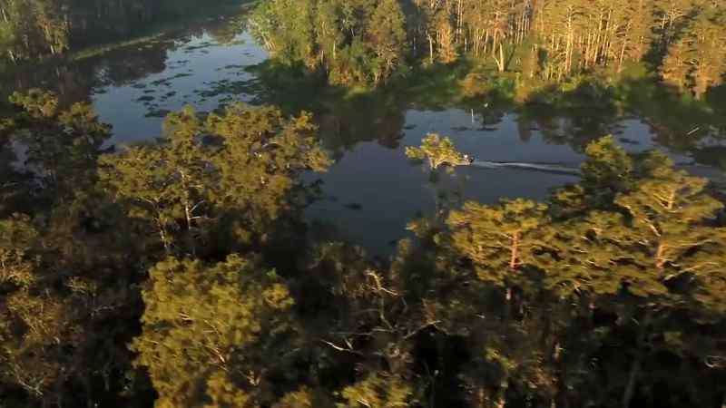 In the Atchafalaya Spillway