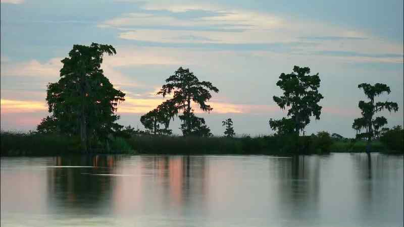 It's another sweltering day on the bayou