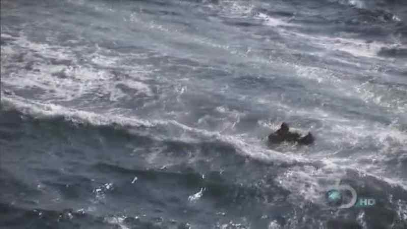 I'VE BEEN DROPPED MORE THAN A KILOMETER OFFSHORE