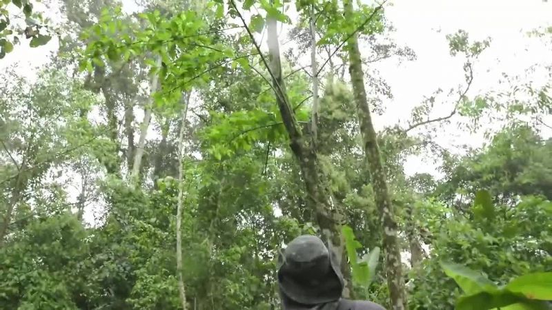 [Josh] Next, we construct a roof with rope, branches