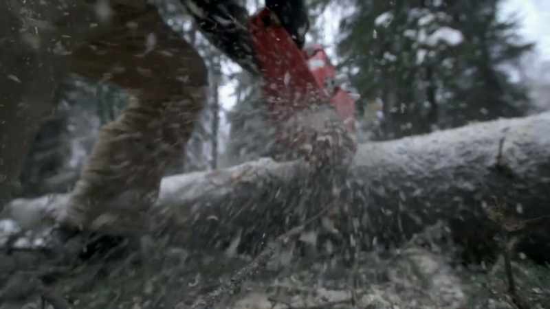 I just bucked up that small tree as firewood