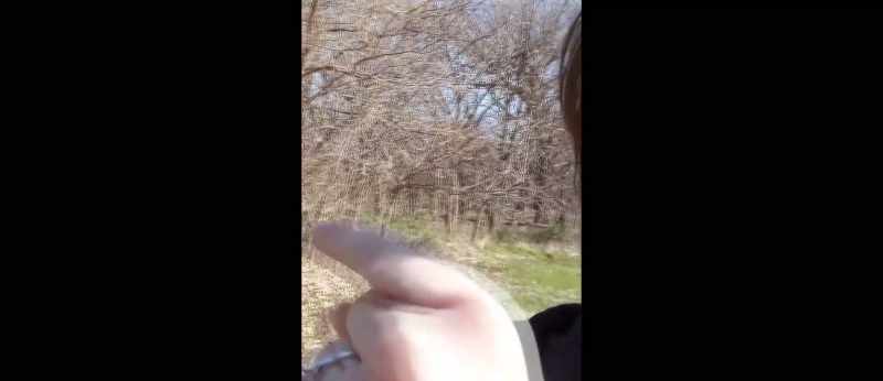 I just peed by the bush over there