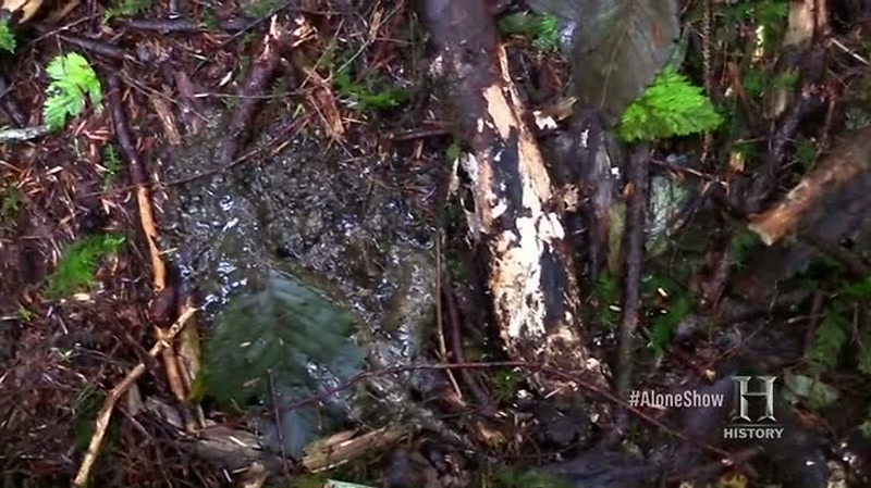 I just stepped in fresh bear crap