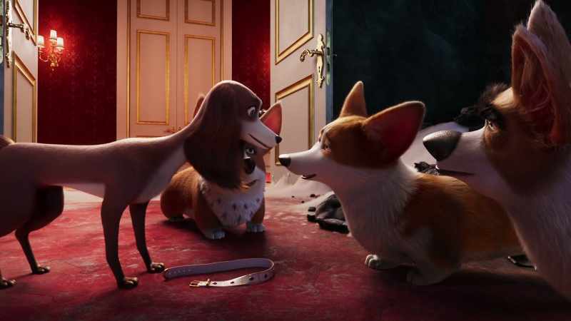 I just want to be your top dog