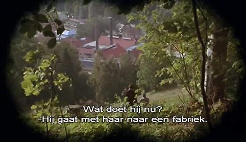 I killed a cow right over there