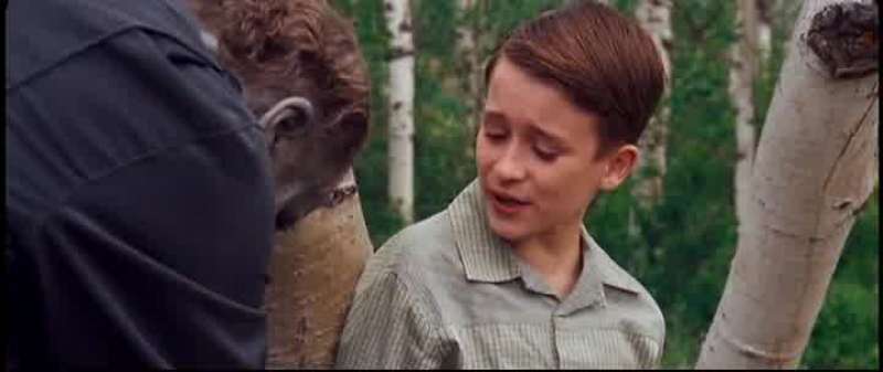 I knew you wouldn't eat me boy